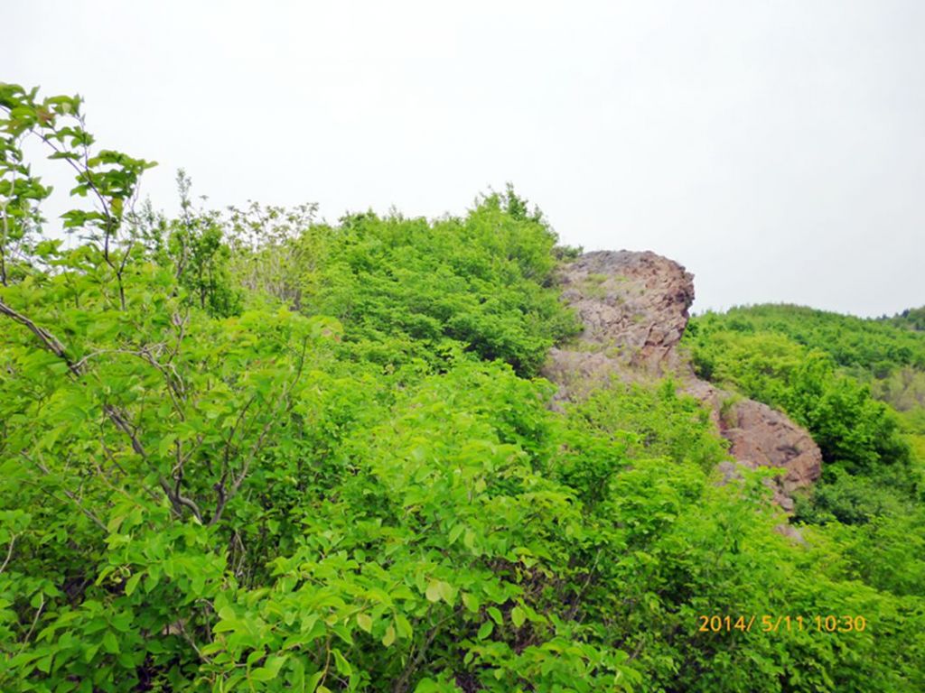 P1050537.jpg