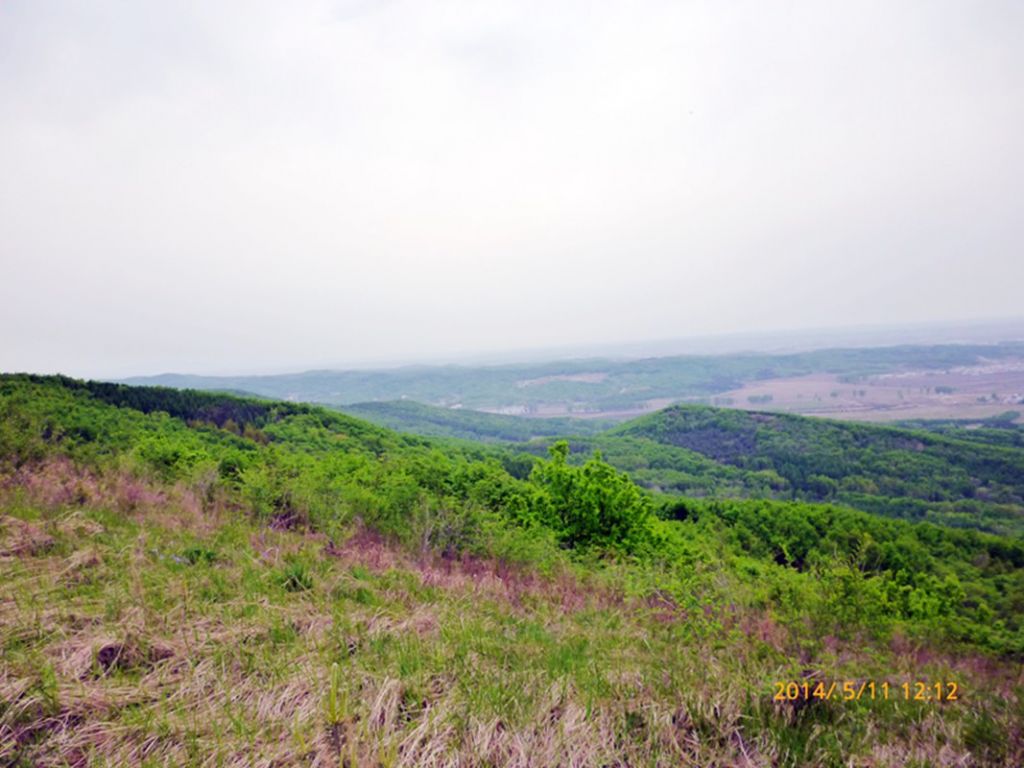 P1050555.jpg