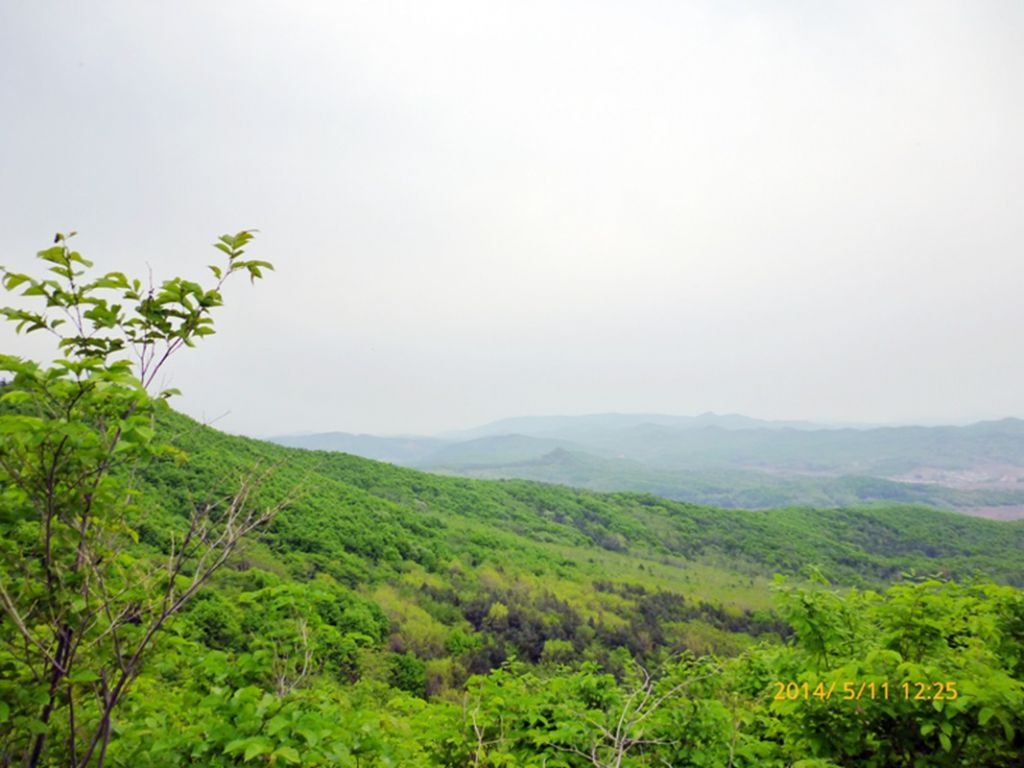 P1050556.jpg