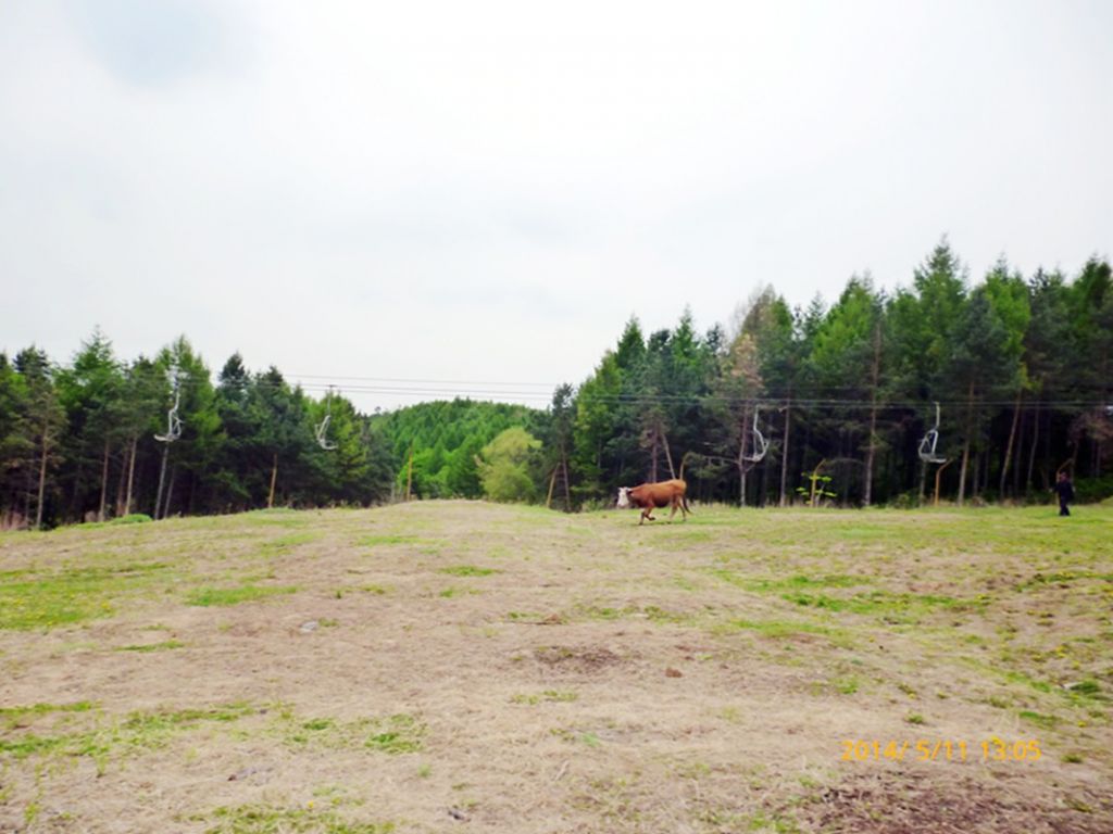 P1050566.jpg