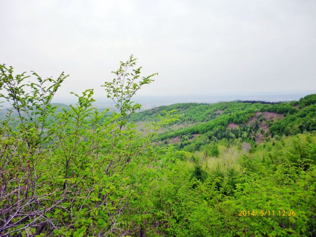 P1050559.jpg