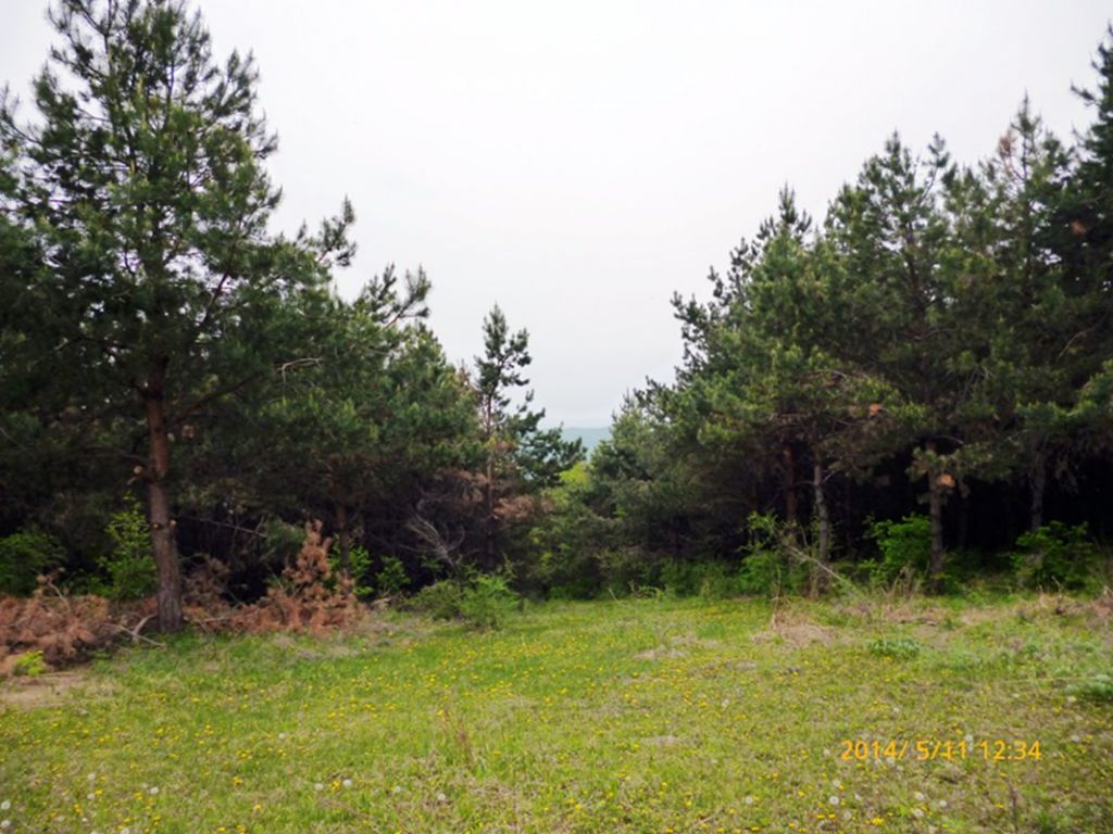 P1050560.jpg