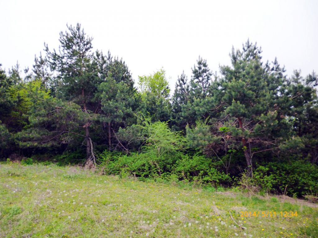 P1050561.jpg