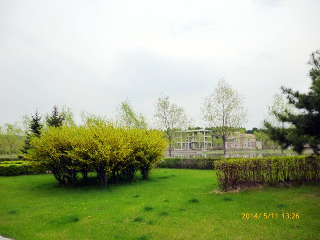 P1050578.jpg