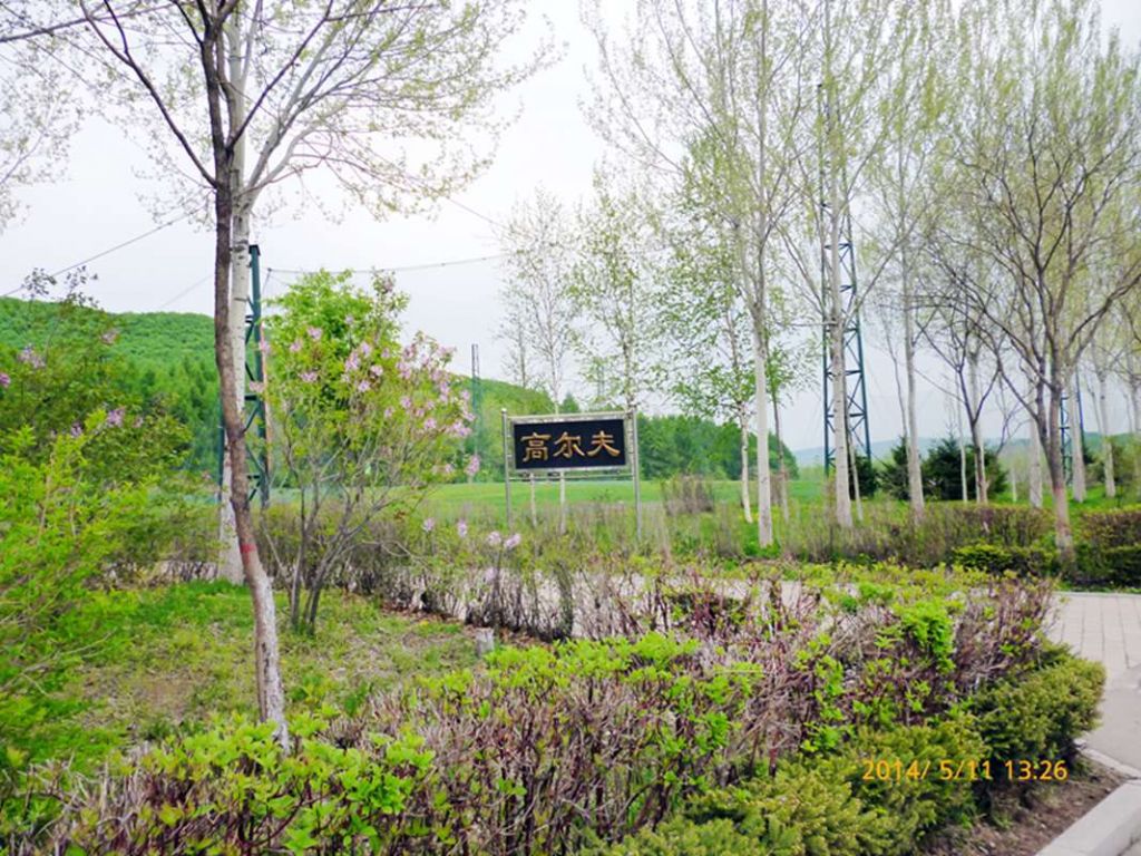 P1050580.jpg