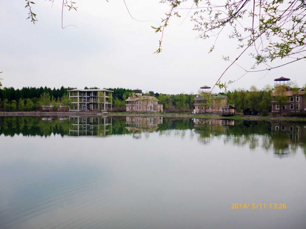 P1050582.jpg