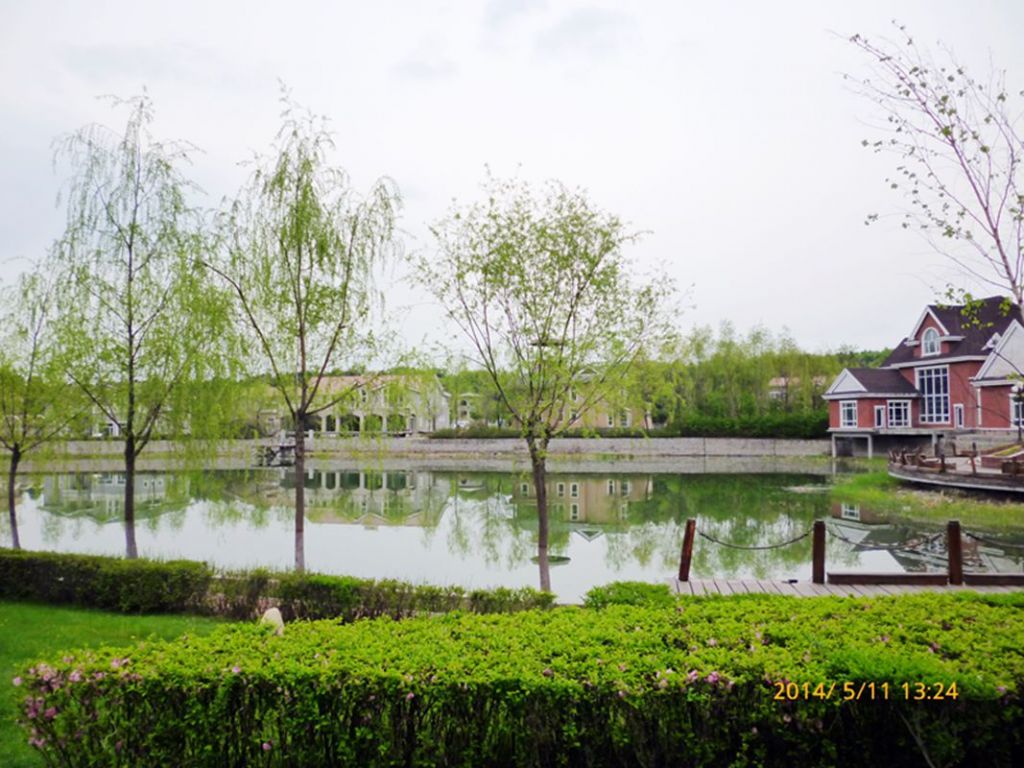 P1050577.jpg