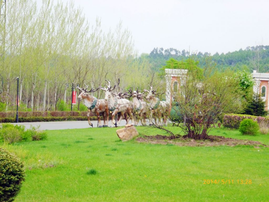 P1050586.jpg