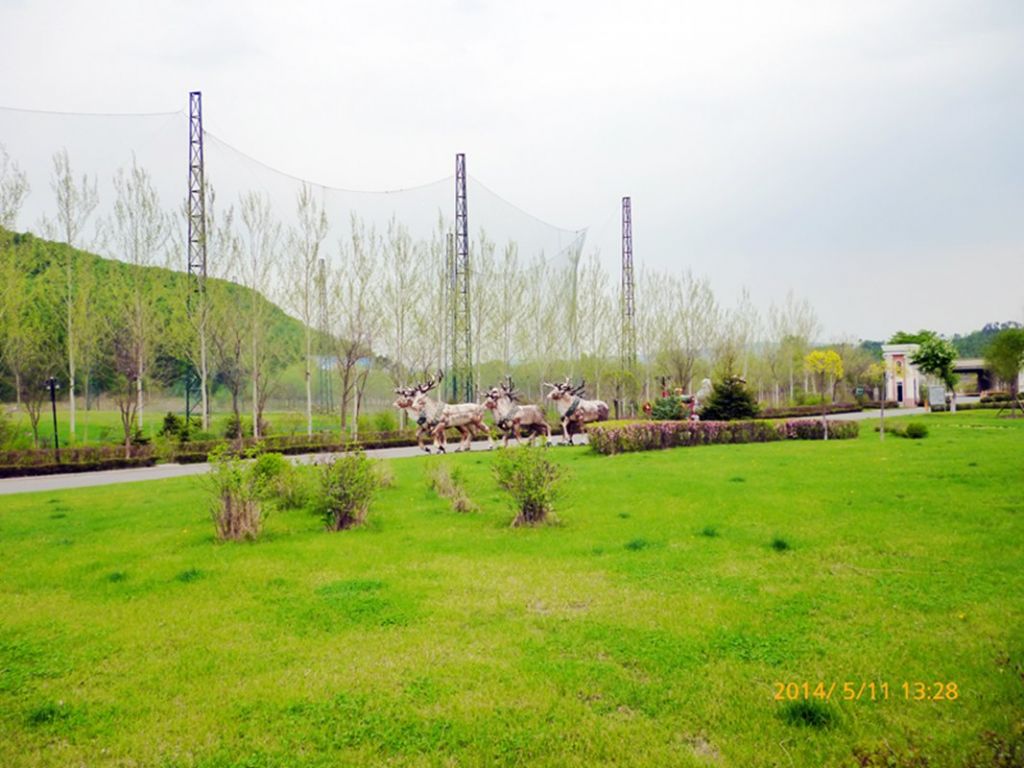 P1050587.jpg