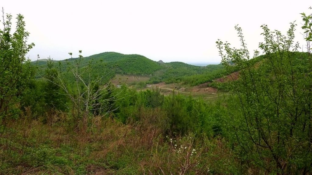 ��Ƭ 024.jpg
