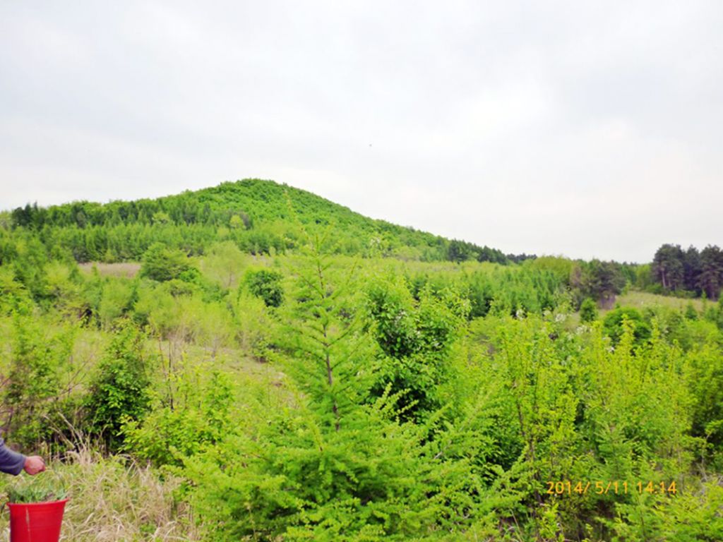 P1050590.jpg