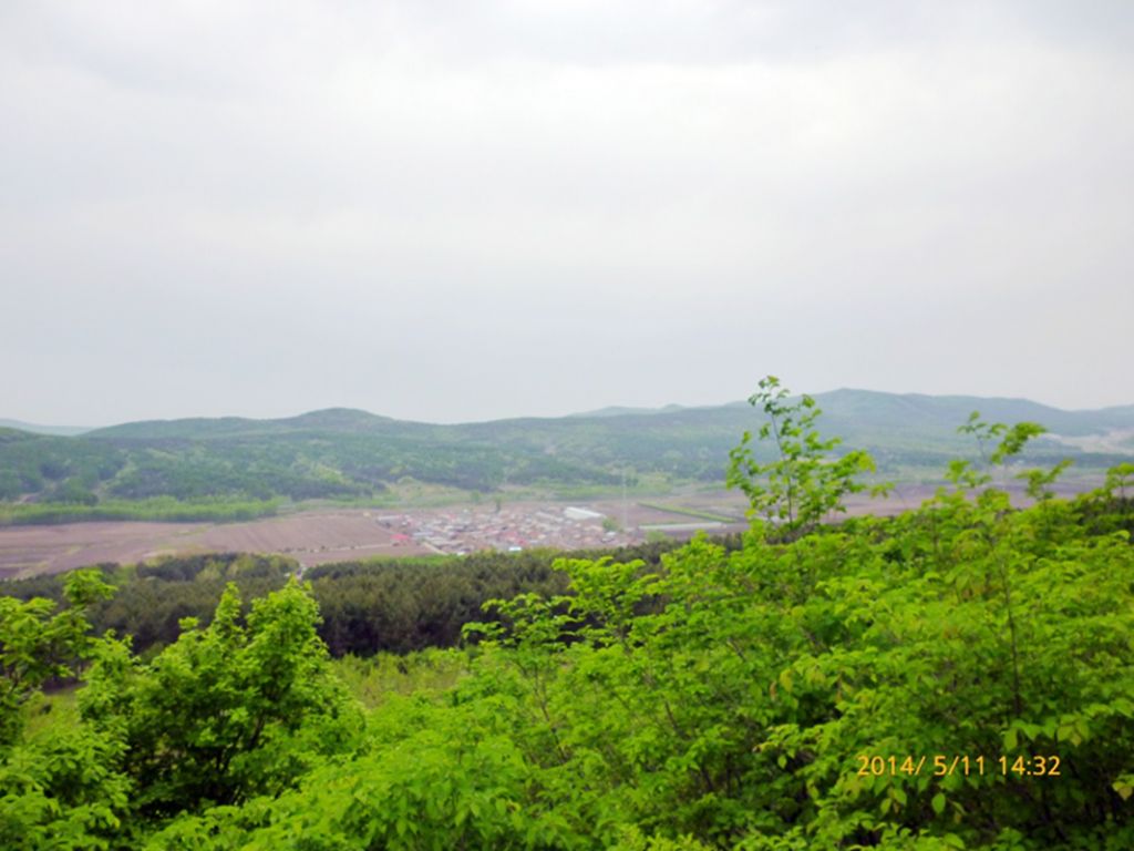 P1050598.jpg