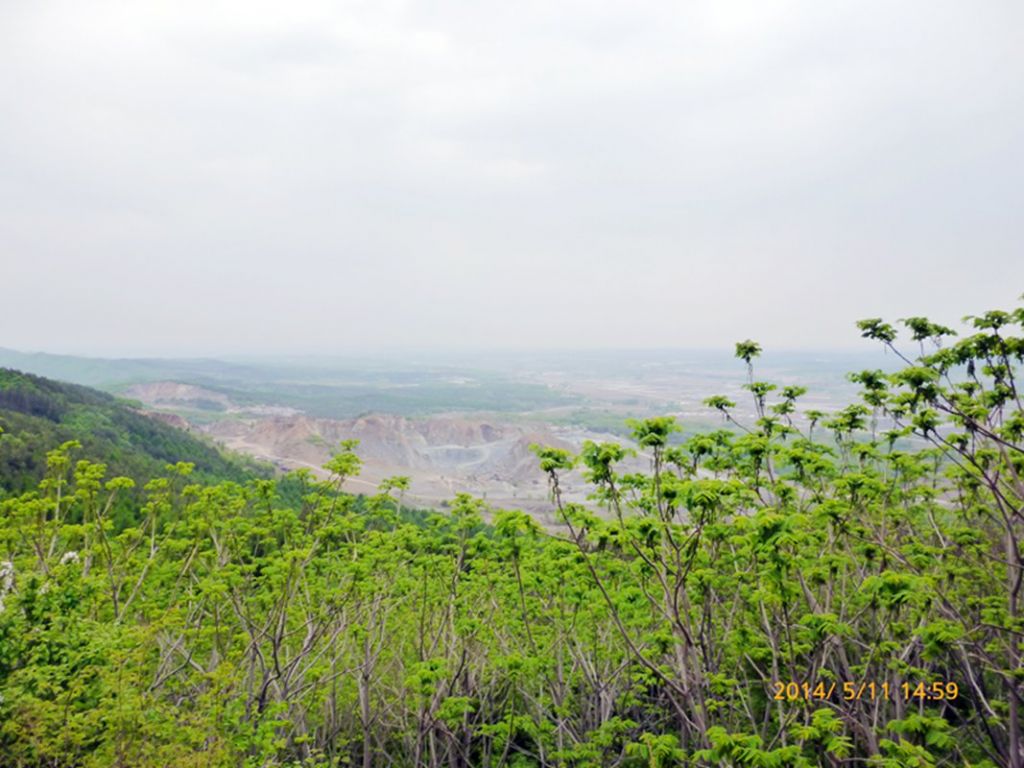P1050604.jpg