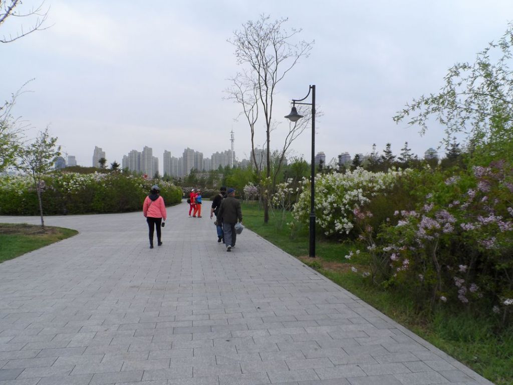 SAM_0222_����.jpg