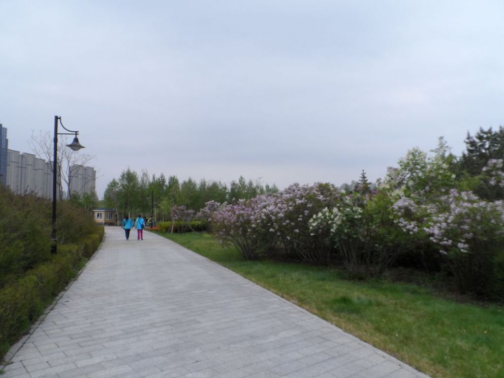 SAM_0218_����.jpg