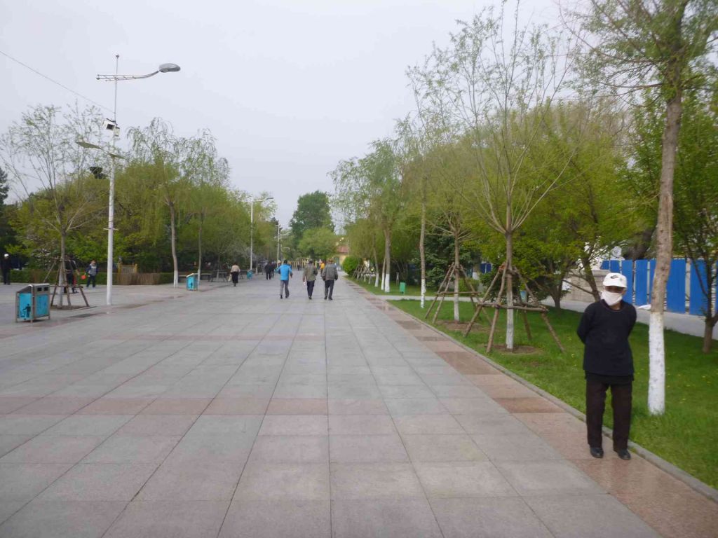 P1030968.jpg