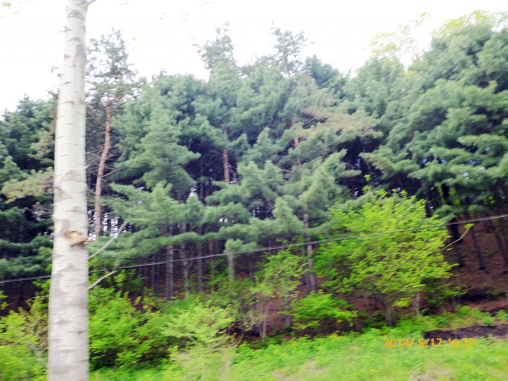 P1050615.jpg