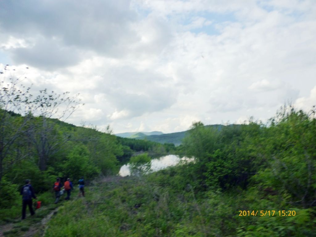 P1050653.jpg