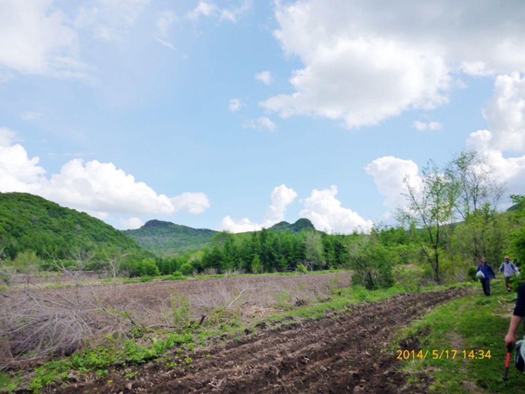 P1050646.jpg