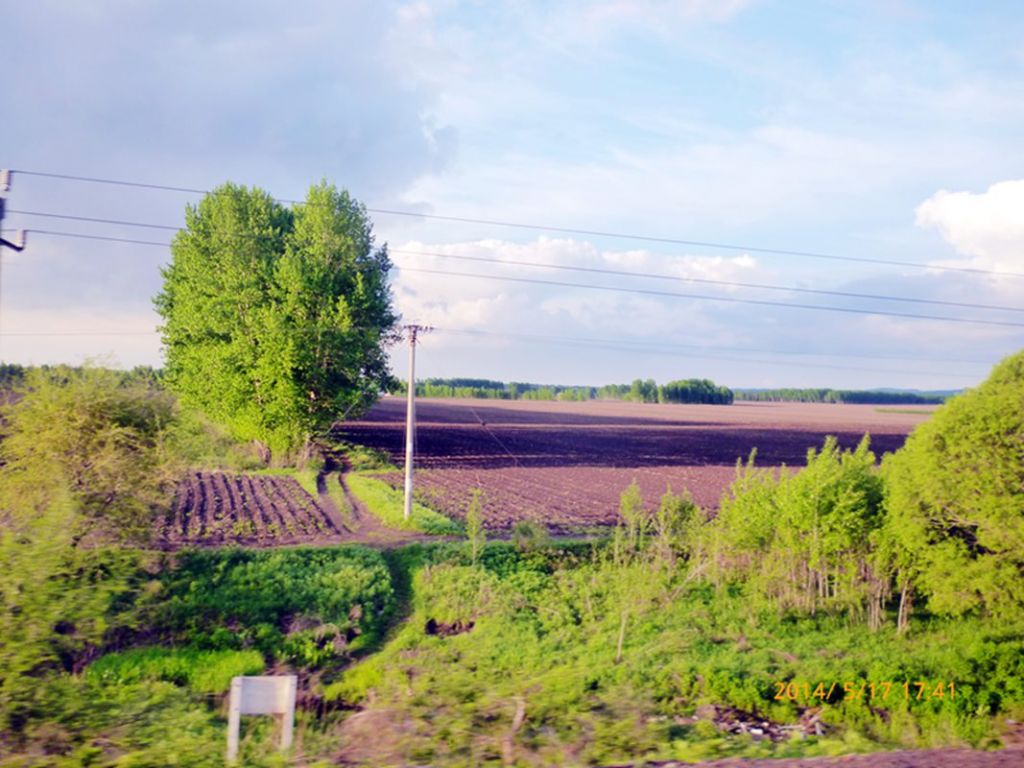 P1050669.jpg