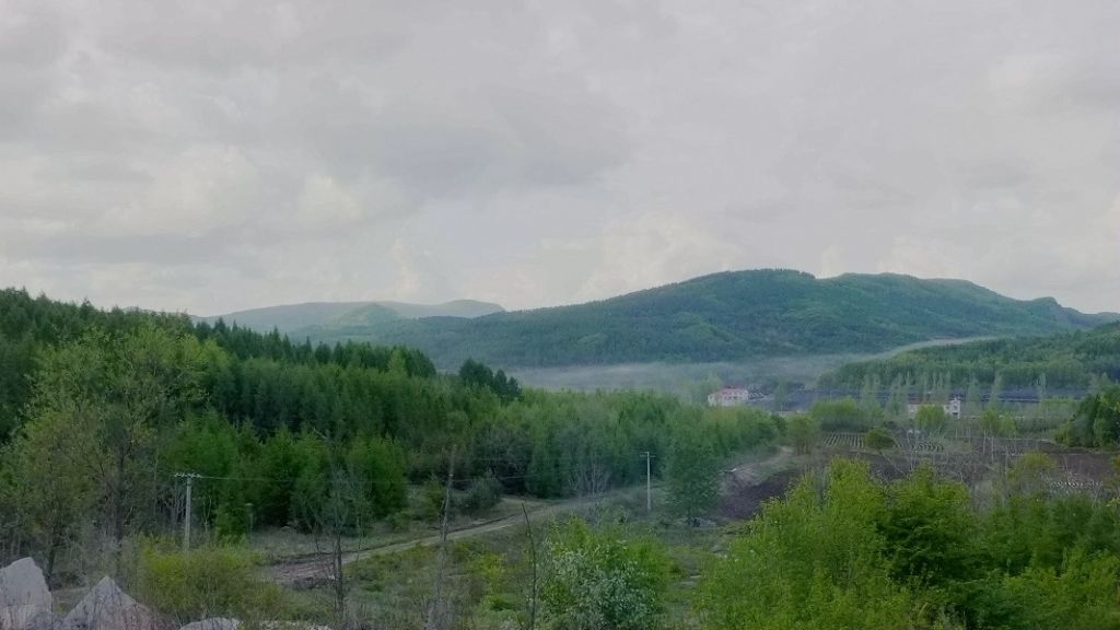 P1020880.JPG
