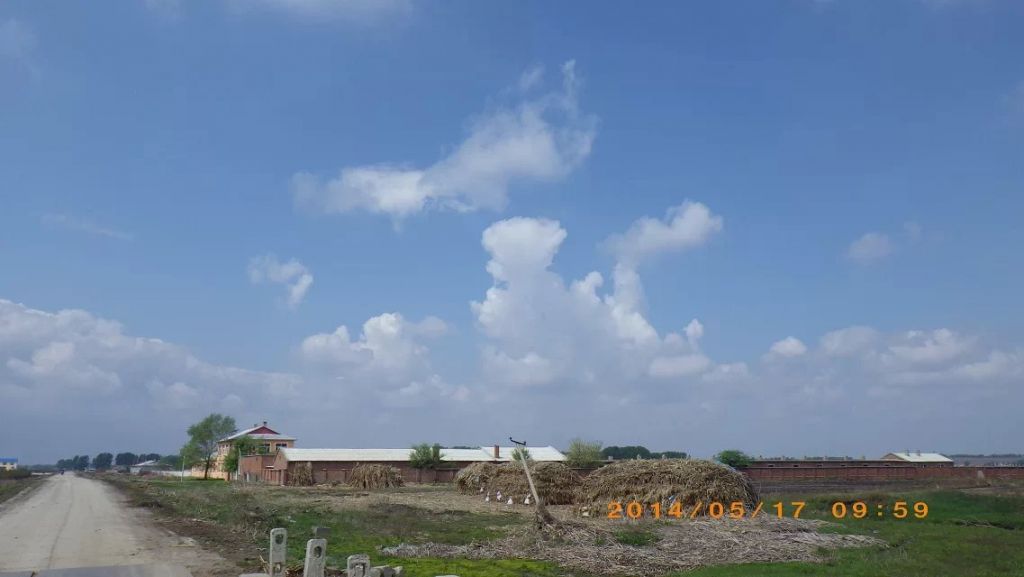 103.jpg