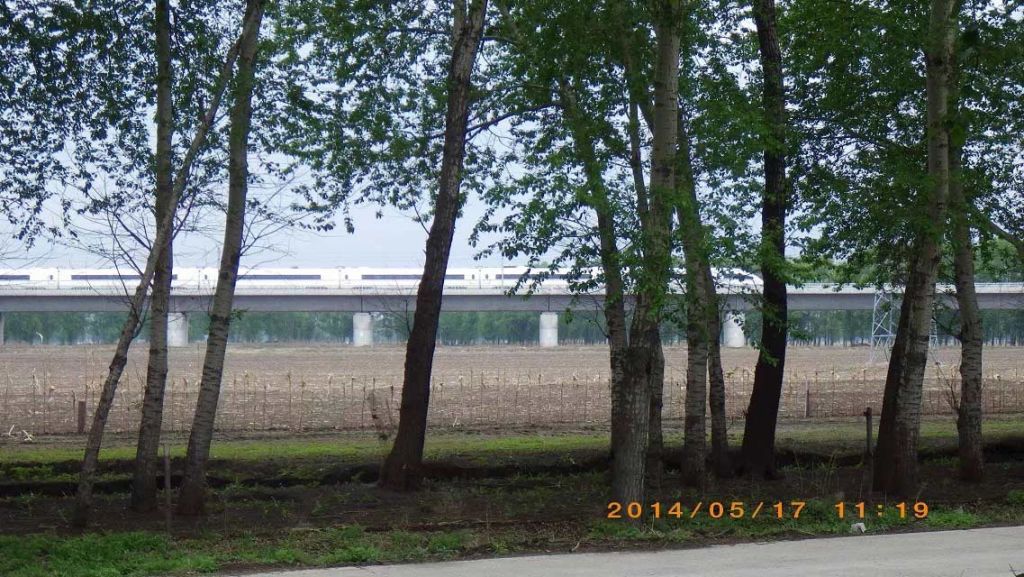 115.jpg