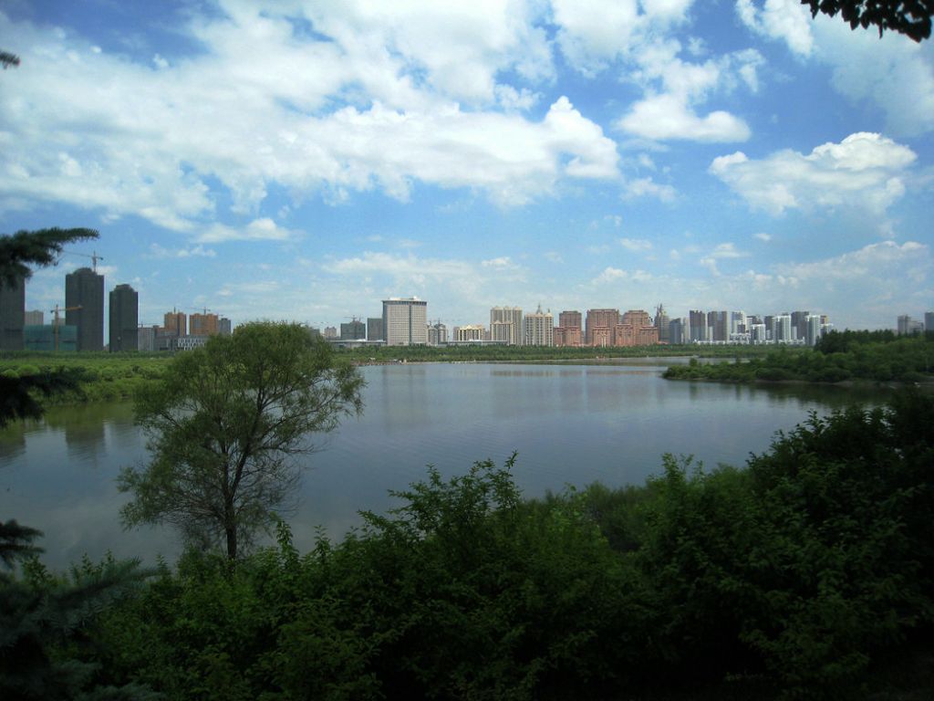 IMG_5856.jpg