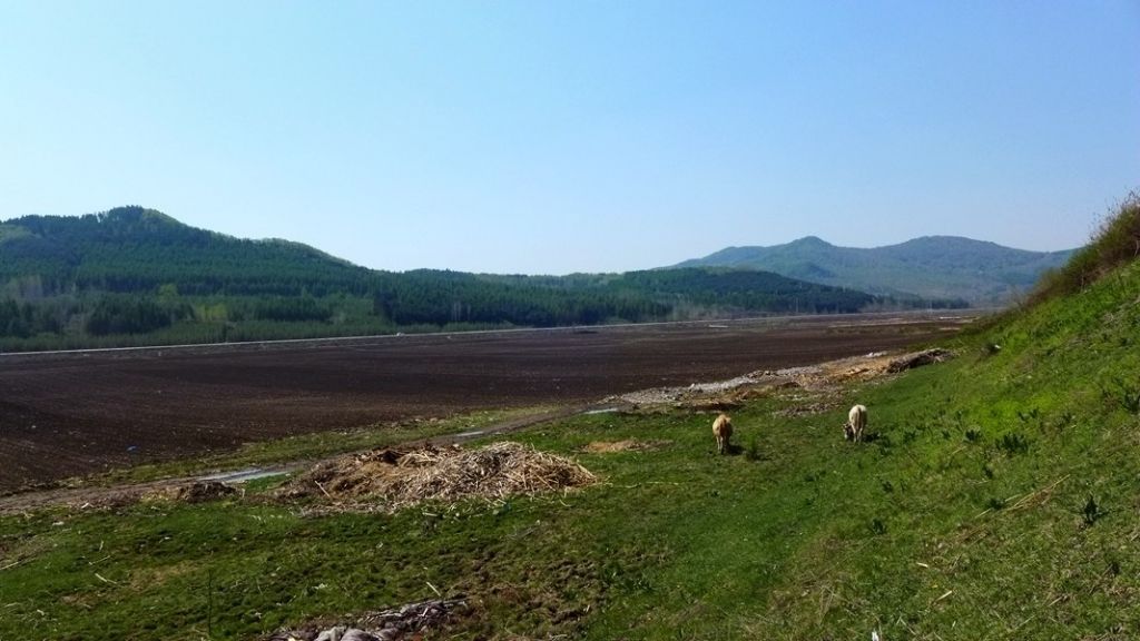 P1020619.JPG