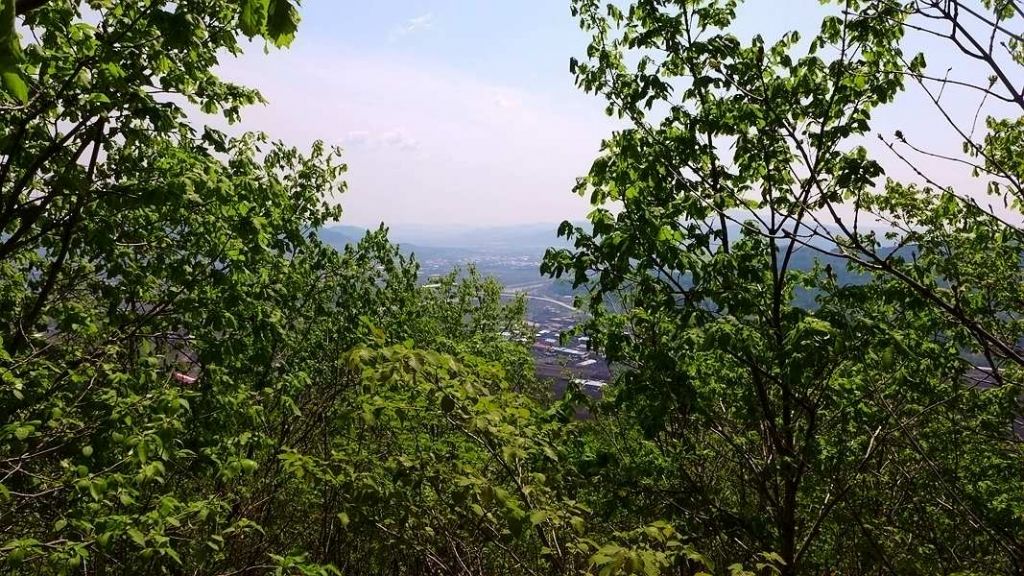 P1020630.JPG