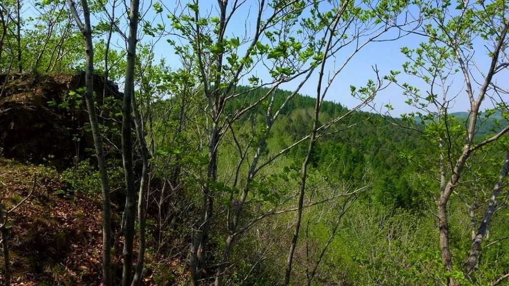 P1020641.JPG