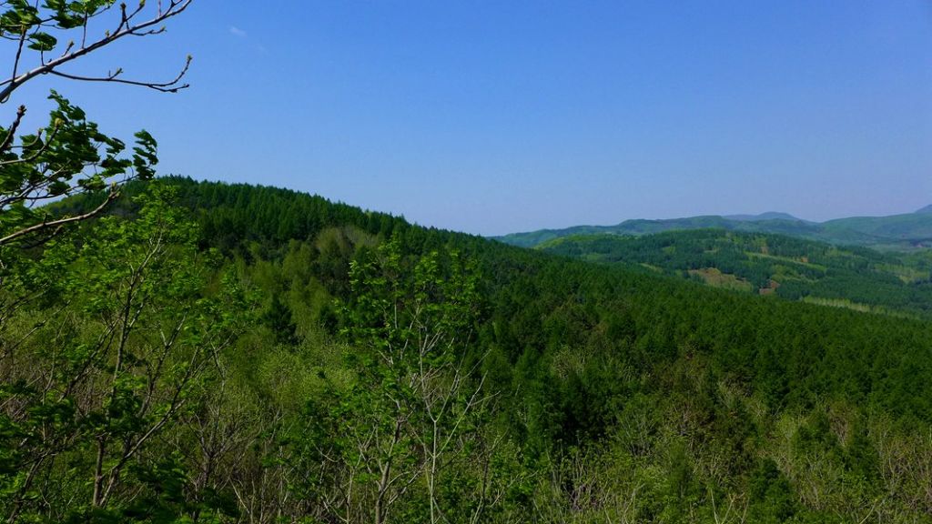 P1020644.JPG