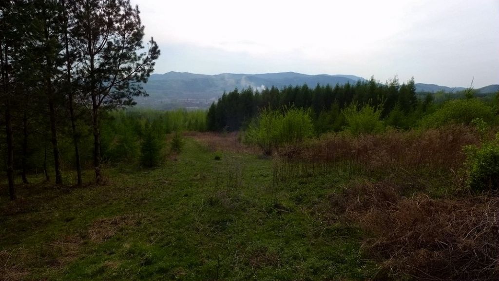 P1020719.JPG