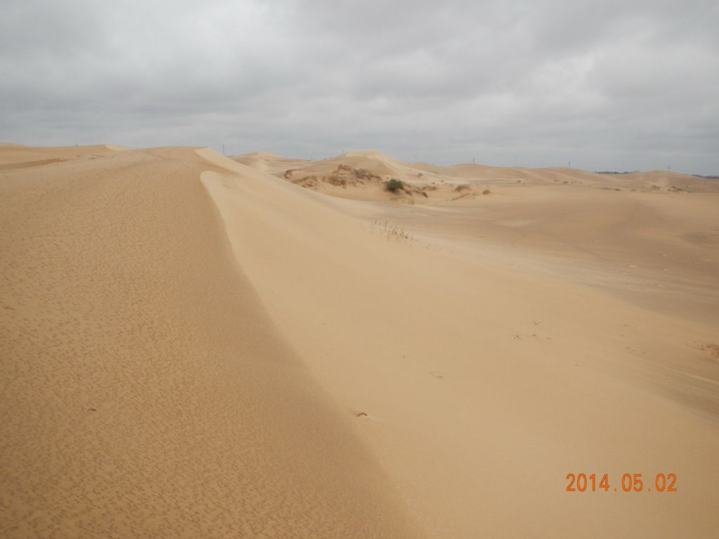 DSCN2324.jpg