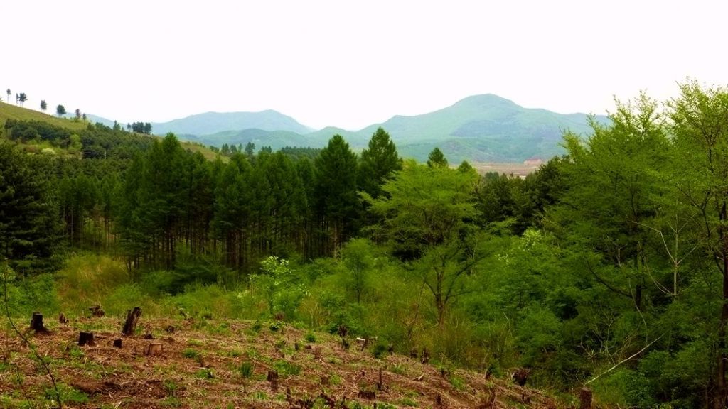 P1020733_����.jpg