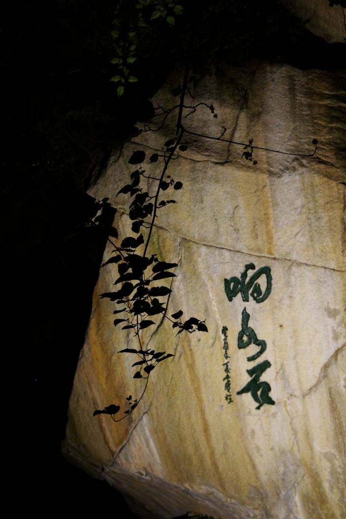DSC01147_����.jpg