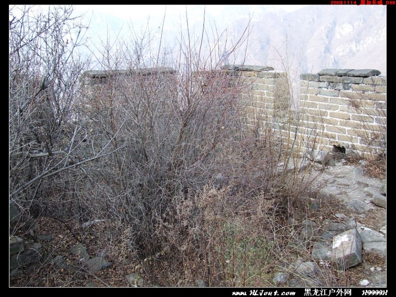 20081114_���۳���_068.jpg