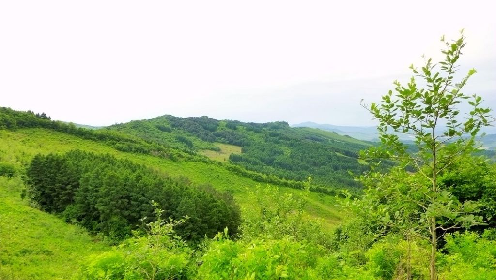 P1000096.JPG
