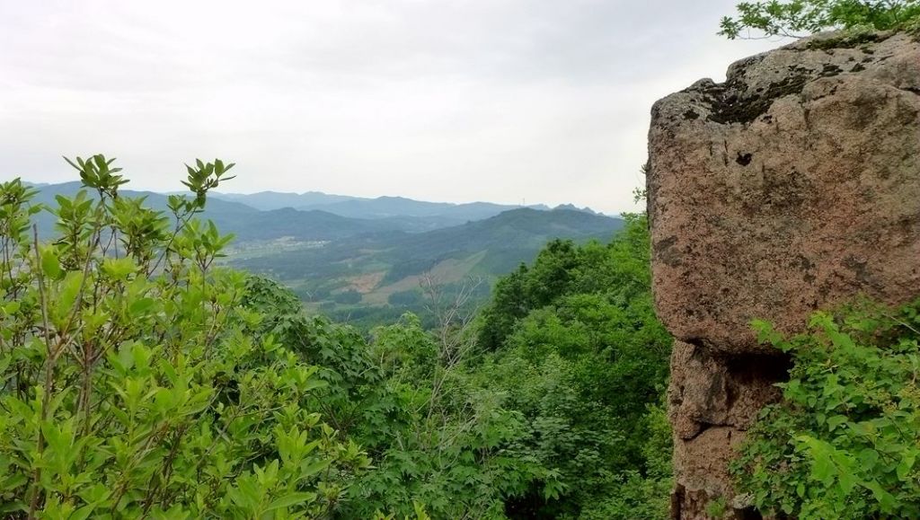 P1000115.JPG