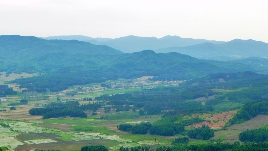 P1000117.JPG