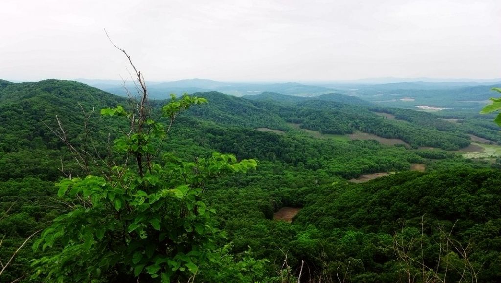 P1000120.JPG