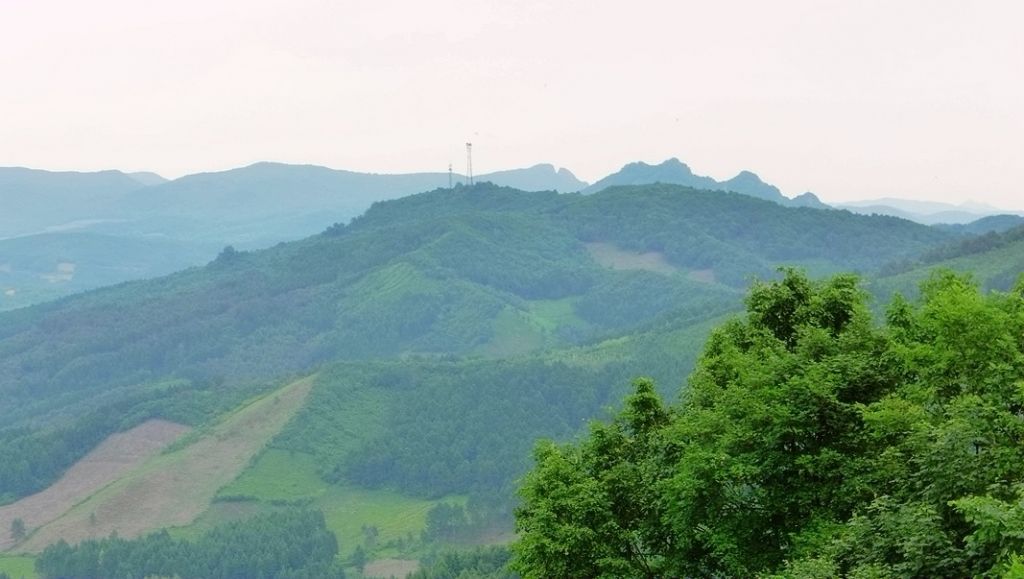 P1000124.JPG