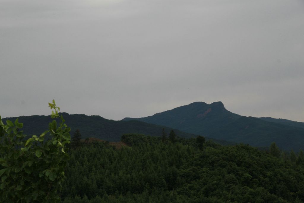 IMG_1516.JPG