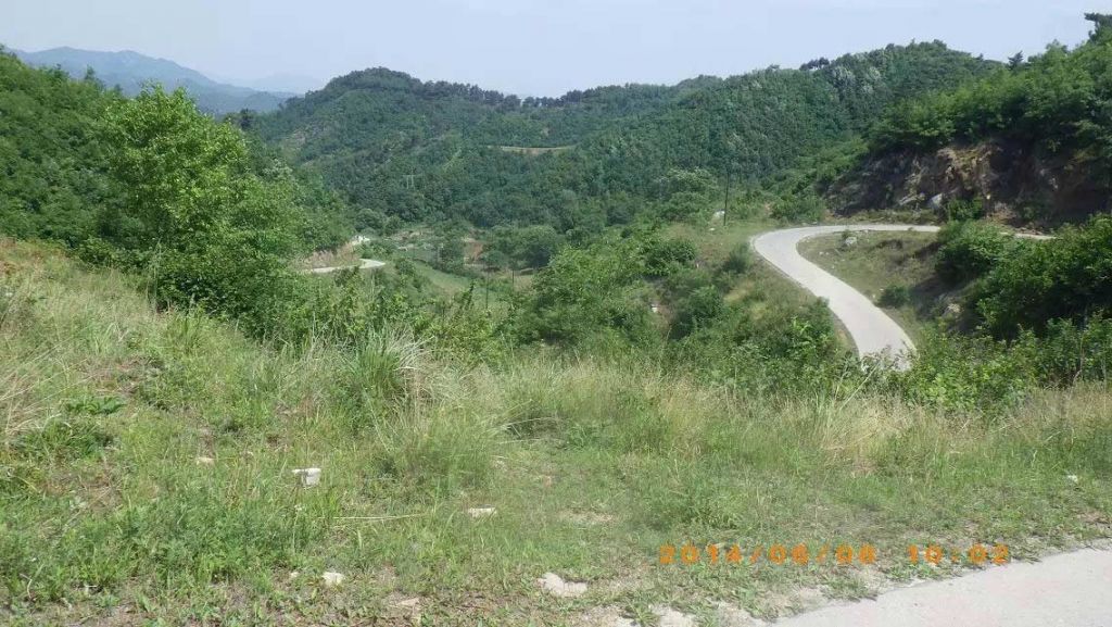 067.jpg