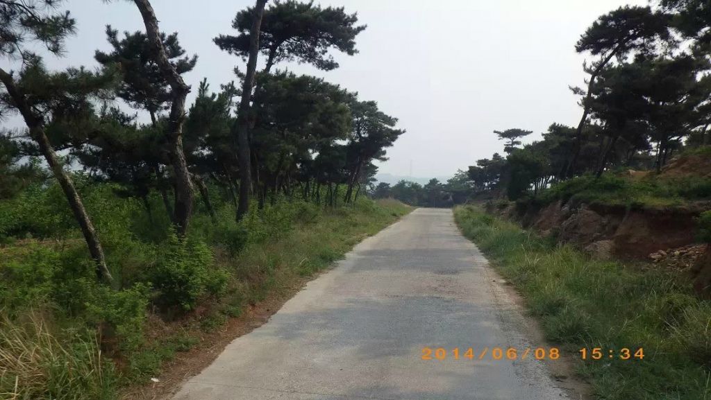 157.jpg