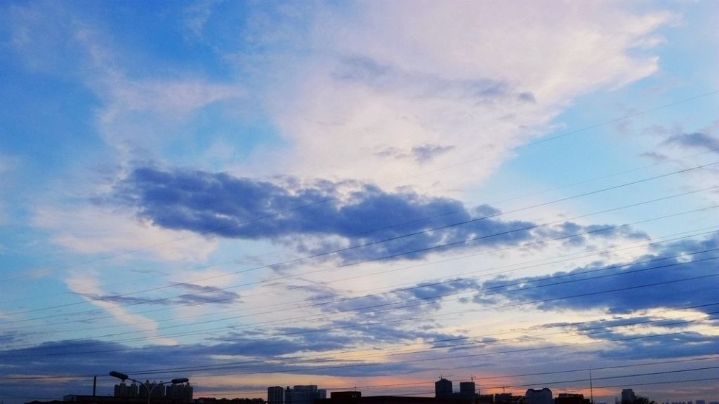 P1000157.JPG