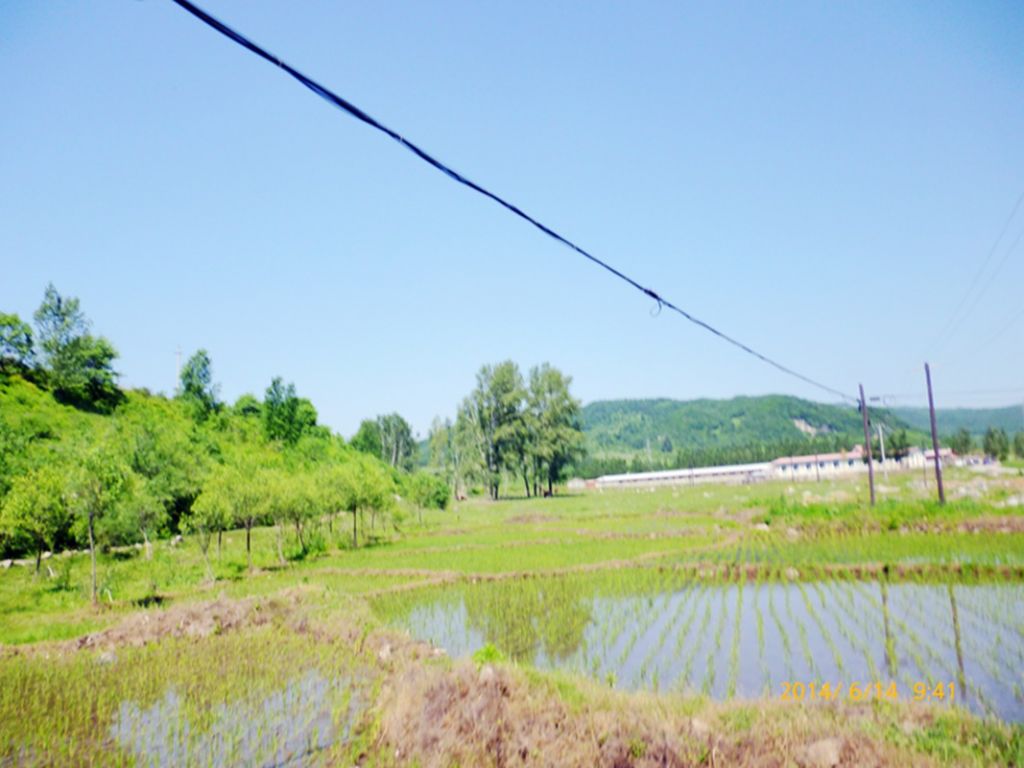 P1050756.jpg
