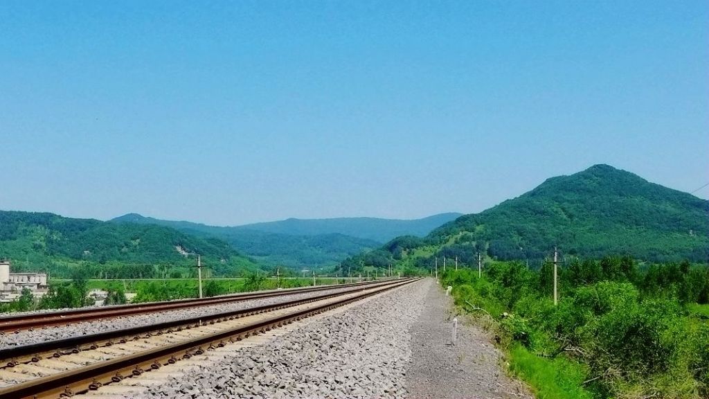 P1000206.jpg