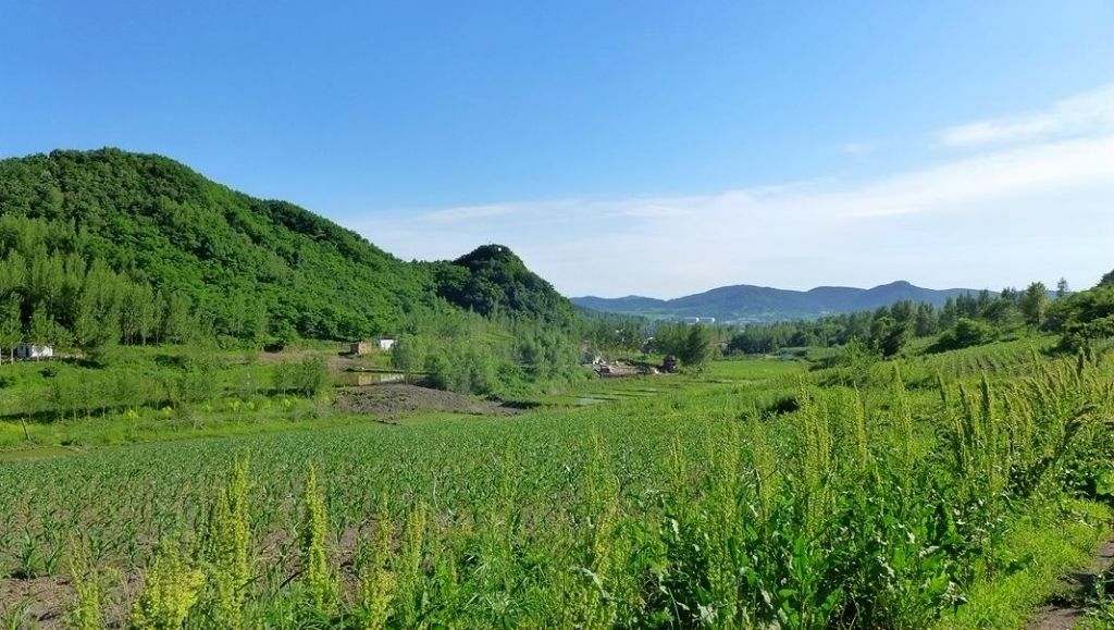 P1000203.JPG