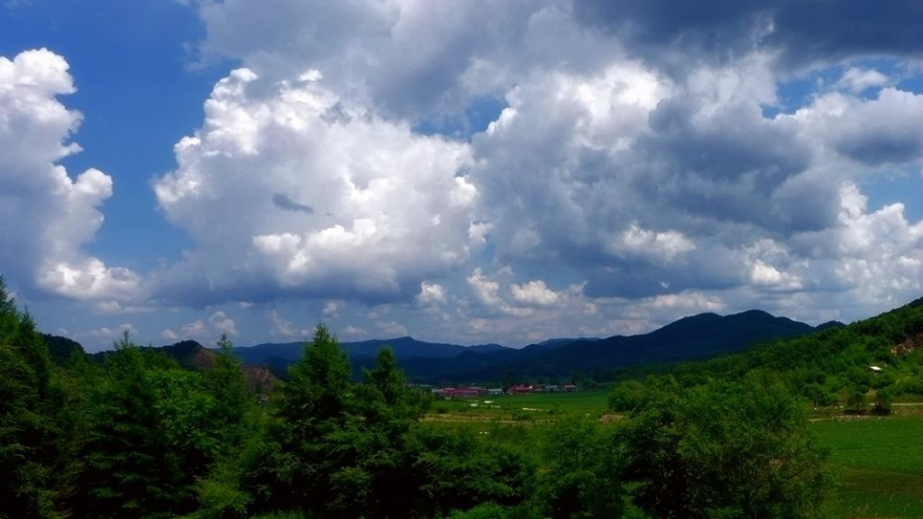 P1000222_����.jpg
